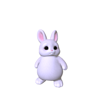 Litttle Bunny Plushie