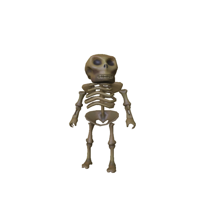 Skeleton