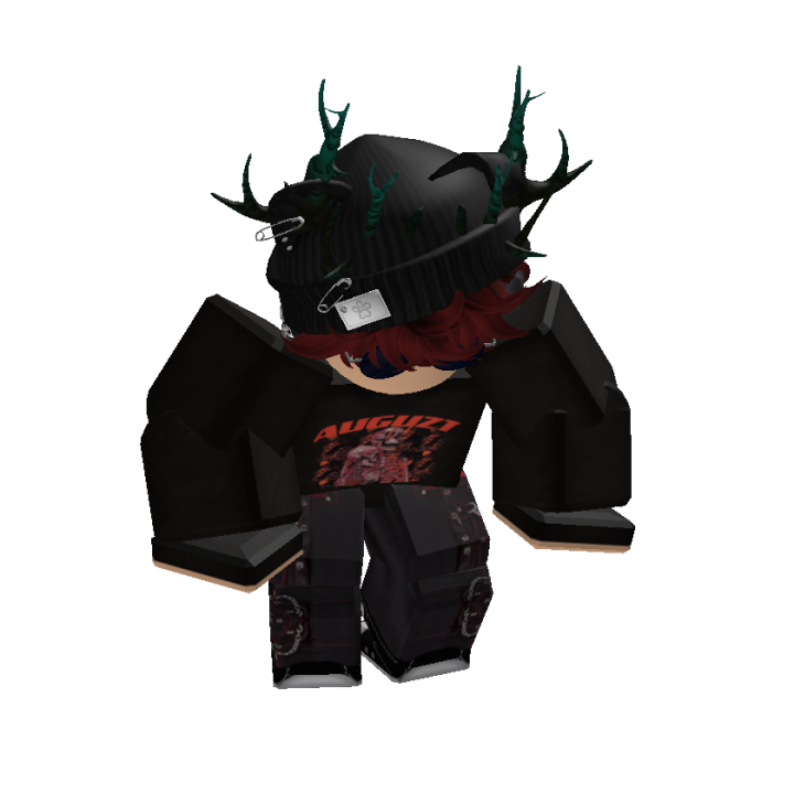 Roblox banner for @Hasupe