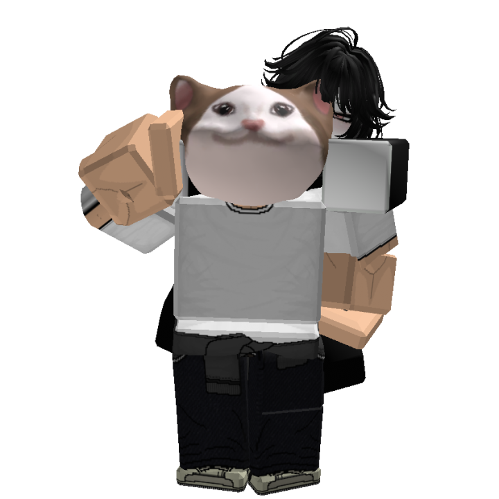 Roblox banner for @pippy0914