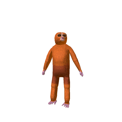 Fast Loris