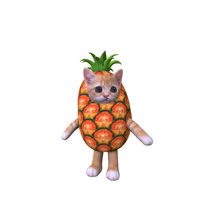 Pineapple Cat