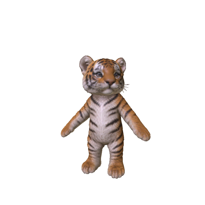 Cute Baby Tiger