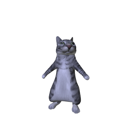 Gazing Cat