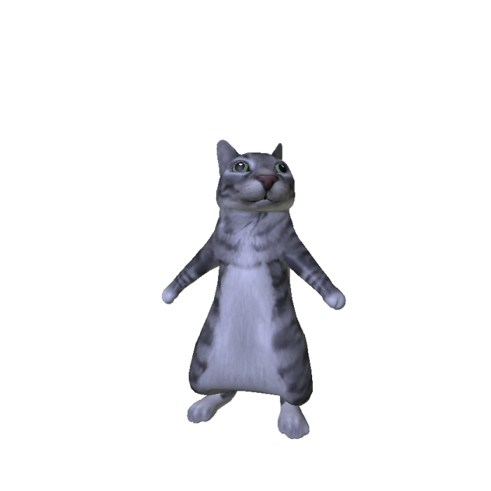 Gazing Cat