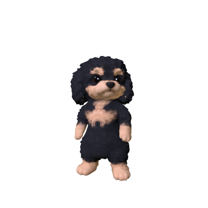 Little Poodle Puppy
