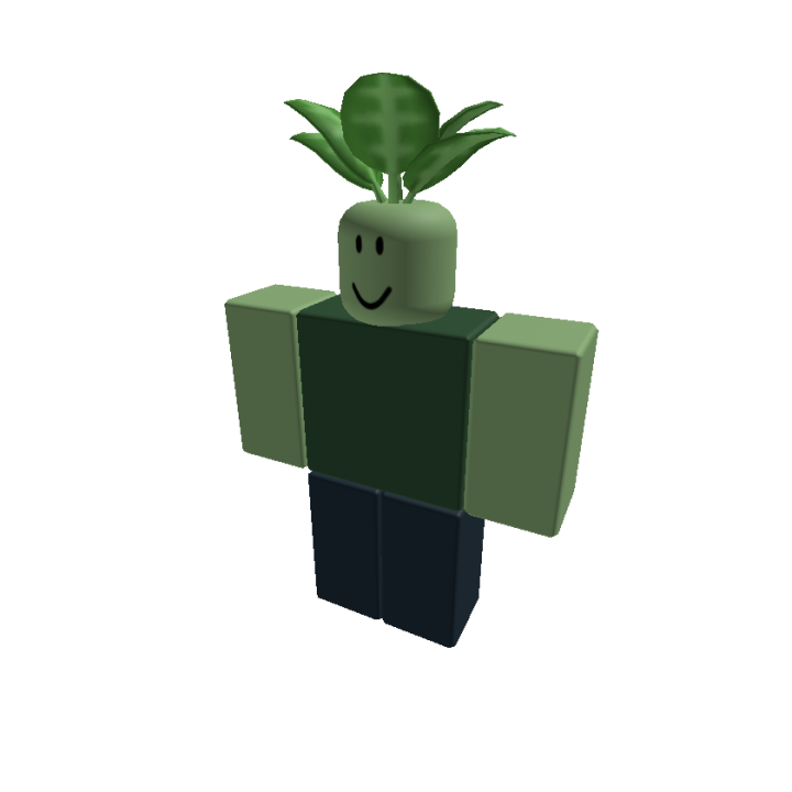 Roblox banner for @Broccoli
