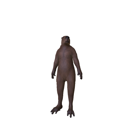 Capy
