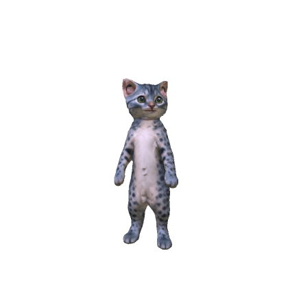 Snow Leopard Cat