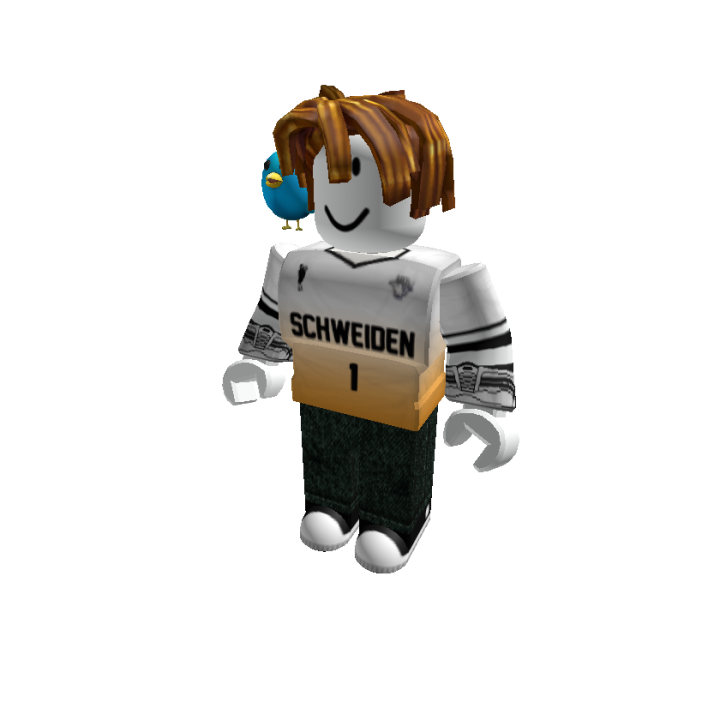 Roblox banner for @psi