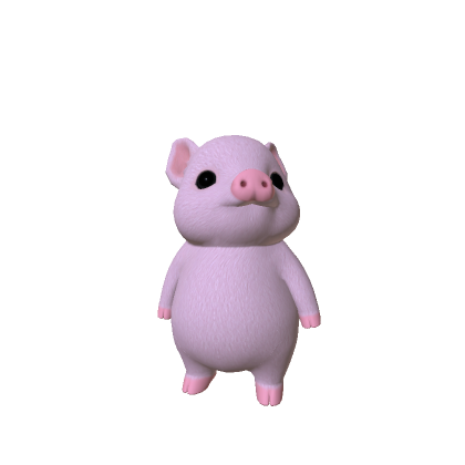 Baby Pig