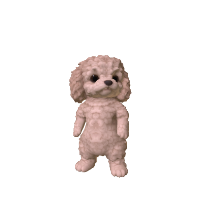 Little Poodle Puppy