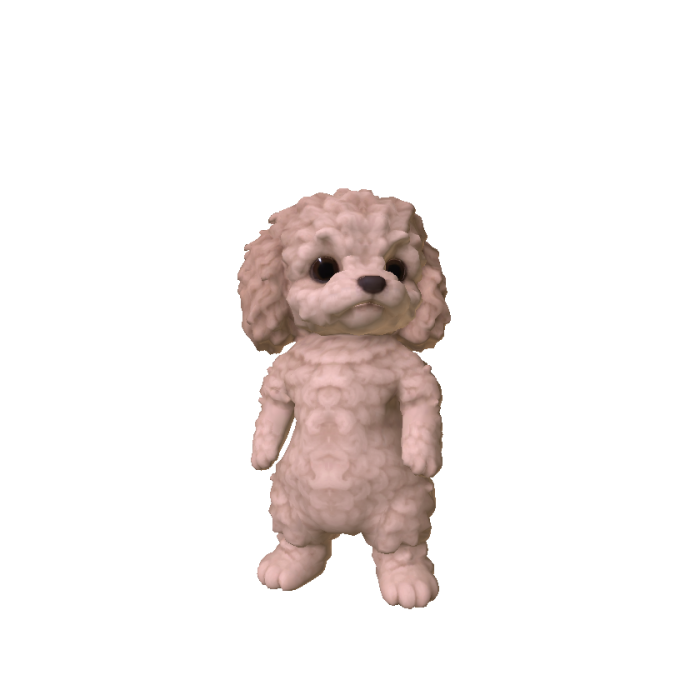 Little Poodle Puppy