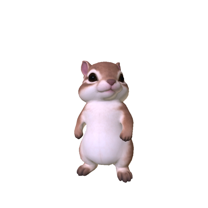 Cute Mini Chimpunk