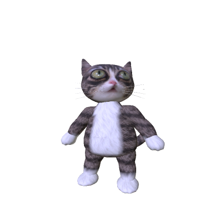 Winky The Dwarf Cat Suit