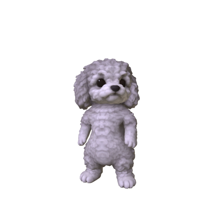 Little Poodle Puppy