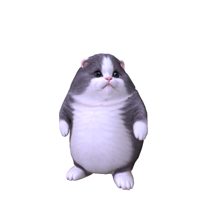 Big Fat Cat