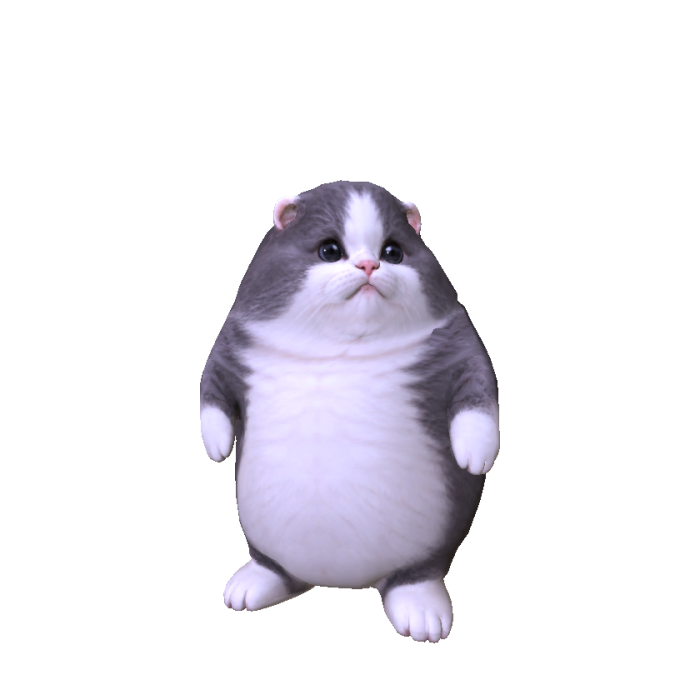 Big Fat Cat