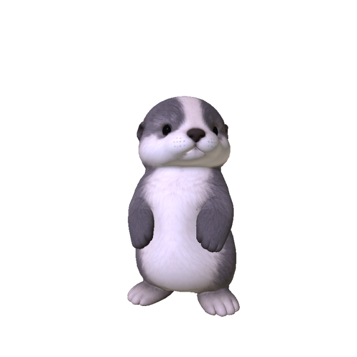 Sea Otter