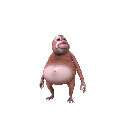 funny monkey
