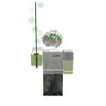 Legit_Arxzo's avatar