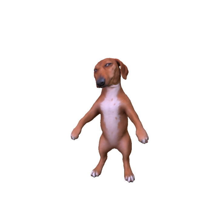 Side Eye Suspicious Dog