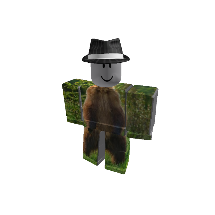 Roblox banner for @parka