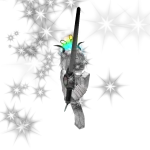 xezvwv's avatar