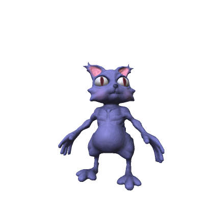 Staring cat