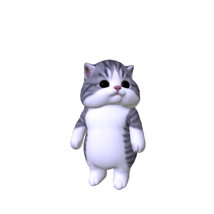 Chubby Cheeked Kitten