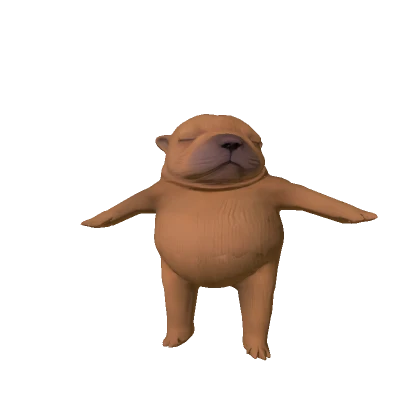 Catálogo