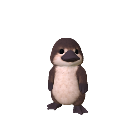 Little Platypus