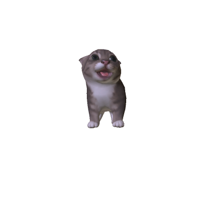 Rigby Cat