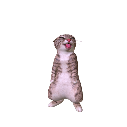 Bengal Rigby Cat