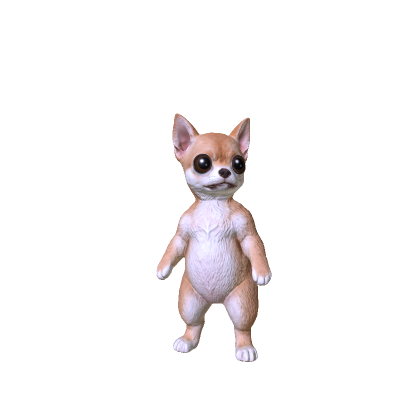 Chihuahua