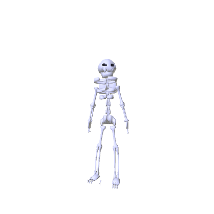 Skelly