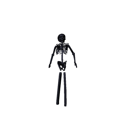 STEAL A BRAINROT THIN TALL SKELETON BUNDLE thumbnail