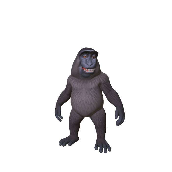 Little Smiling Monkey 🐵