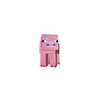 Mini Pig