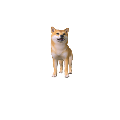 Doge Dog