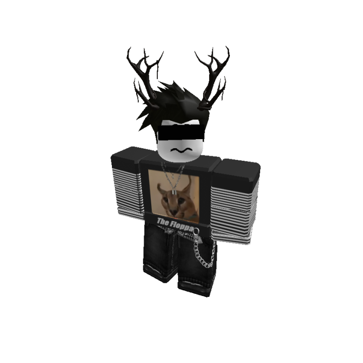 Roblox banner for @QPI