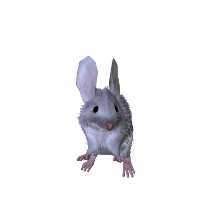 the mouse
