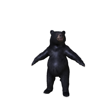 funny cute fat black bear animal