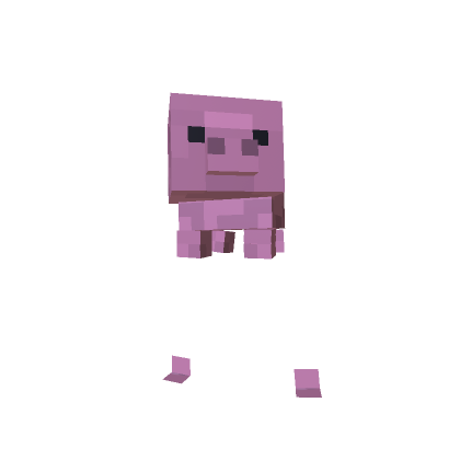 Mini Pig