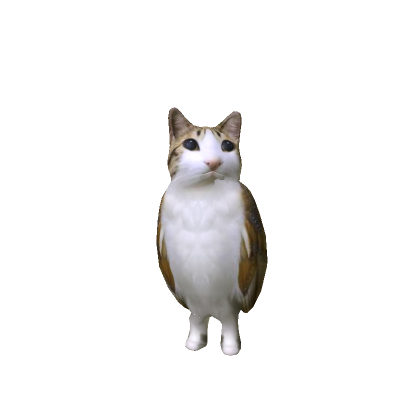 Meowl Meme