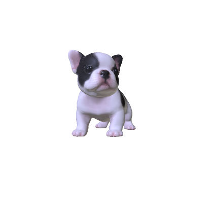 Mini Pibble Dog