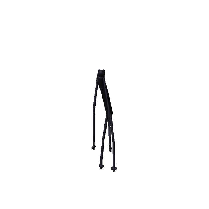 Bob