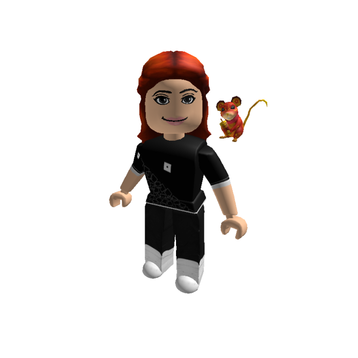 Roblox banner for @seba5150