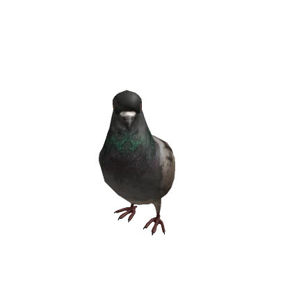 notes4u99's avatar