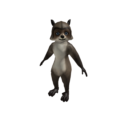 Raccoon